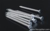 Galvanized Steel Nails