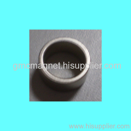 Sintered Ring magnet