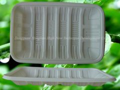 disposable tray