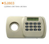 Electronic combination lock steel and beaitiful combined key lock and mechanical gun safe box
