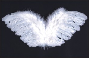 Angel Wing