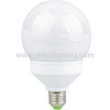 LED Bulb Light