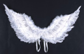 Angel Wing