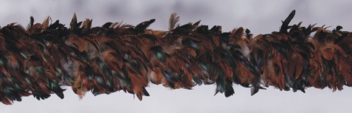 Cock Feather Boas