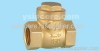 brass check valve forged body