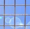 stainless steel welded wire mesh