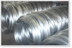 electro galvanized steel wire