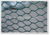 hexagonal wire netting(manufacturer & exporter)