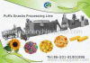 Snacks Food Machinery