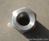 stainless steel nut