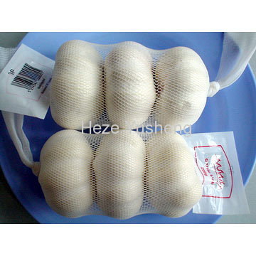 Chinese normal white garlic