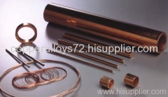 UNS.C17300 CuBe2Pb CW102C Beryllium Copper