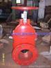 gate valve