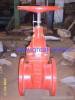 gate valve