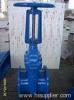 gate valve