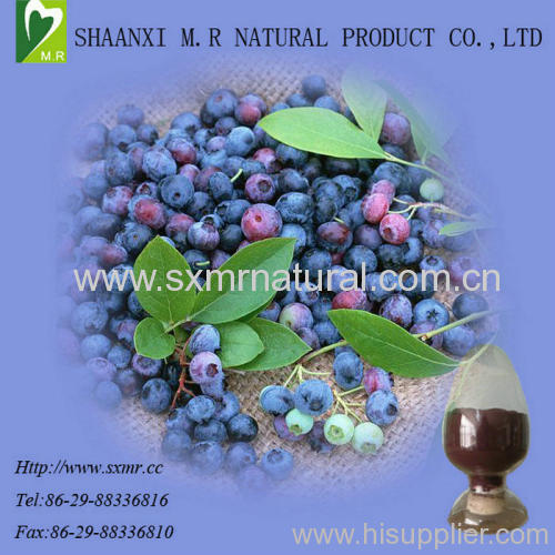Bilberry extract-Anthocyanidins
