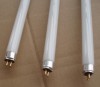 T5 8000K Fluorescent Tube