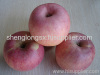 Fresh Qinguan Apple