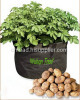 Potato planter bag