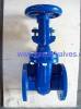 gate valve