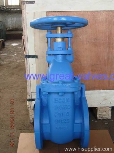 gate valve