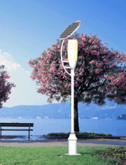 Crown Solar Shed Light