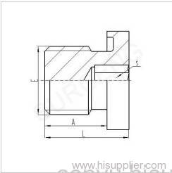 BSP MALE CAPTIVE SEAL HOLLOW HEX PLUG