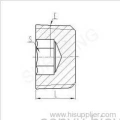 NPT MALE HOLLOW HEX PLUG