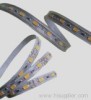 SMD 5050 Strip Light