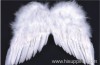 Angel Wing