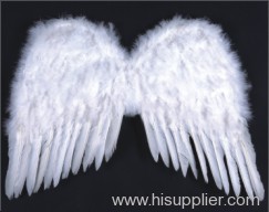 Angel Wing