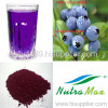 Blueberry Extract 15%,25%