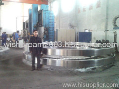 SLEWING BEARINGS/SLEWING RINGS/SLEWING RING BEARINGS