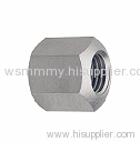 DIN6330 Hexagon Heavy Nut