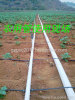 PVC-U Pipes for Agricultural Irrigation