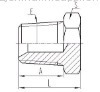 NPT hydraulic adapter