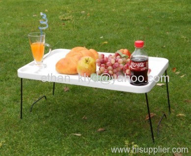 Folding Outdoor Plastic Picnic Table