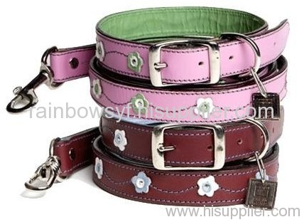 LEATHER DOG COLLAR AND LEASHES