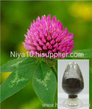 Red Clover P.E.