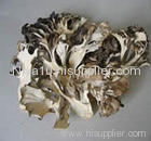 Maitake mushroom extract