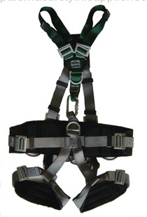 professional fall arrest harness