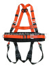 Safety Harness