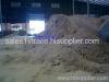 SUGAR CANE BAGASSE FOR ANIMAL BEDDING