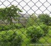 chain link fencing