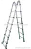 Extension ladder with 4.4M