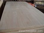 Commercial Plywood with good Price