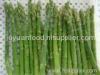 Frozen Asparagus