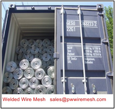 Galvanized Welded Wire mesh