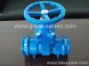 gate valve