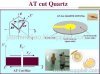 Laboratory Instrument Quartz crystal microbalance(QCM) /Biosensor
